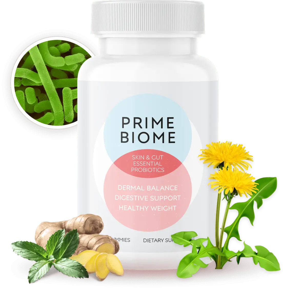 Bottle of Prime Biome Skin & Gut Essential Probiotics with a clean white label, surrounded by ginger, mint leaves, dandelion flowers, and a magnified illustration of probiotic bacteria